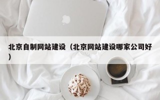 新野北京自制网站建设（北京网站建设哪家公司好）