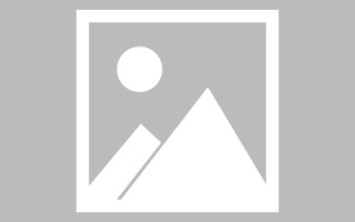 新野关于网站建设免费（关于网站建设免费的通知）